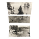 Lot de 3 photos anciennes Bernard Darot Lac Ile Sapins XXe