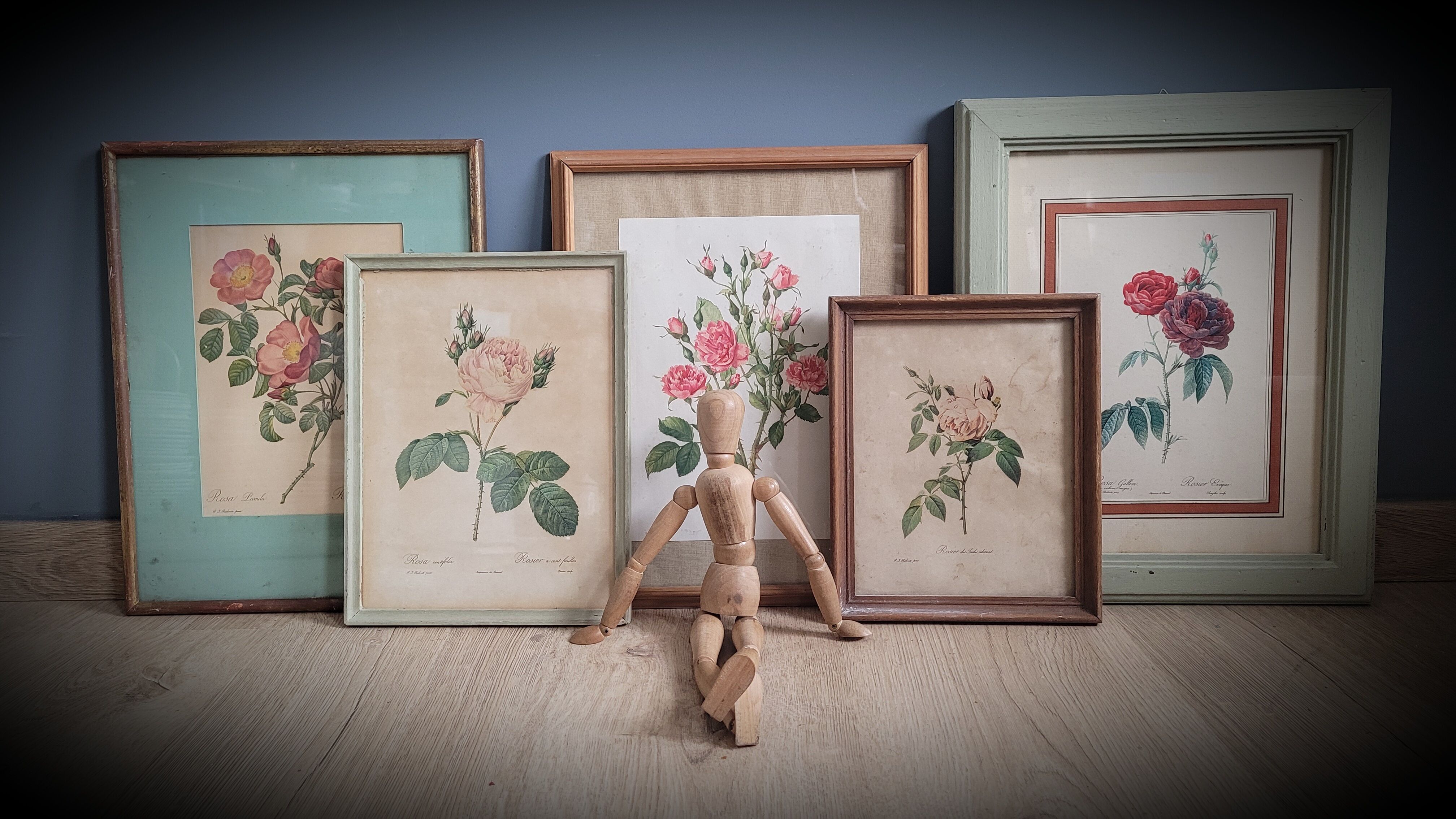 Litho Rose Eglantier