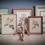 Litho Rose Eglantier