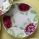 Set of 8 barbotine plates, the Onnaing roses – early 20th century