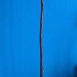 Tree coat rack