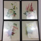 Lot of 4 framed botanical posters