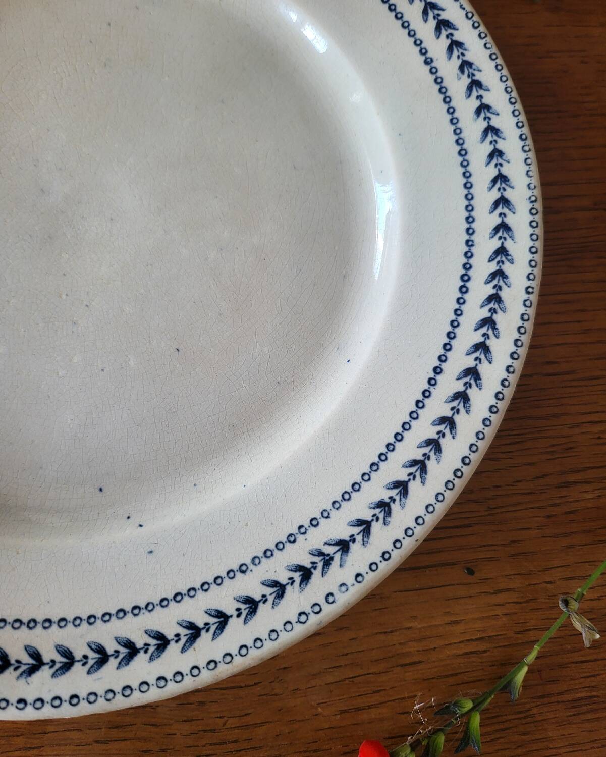 Old opaque porcelain plate gien terre de fer "laurels"