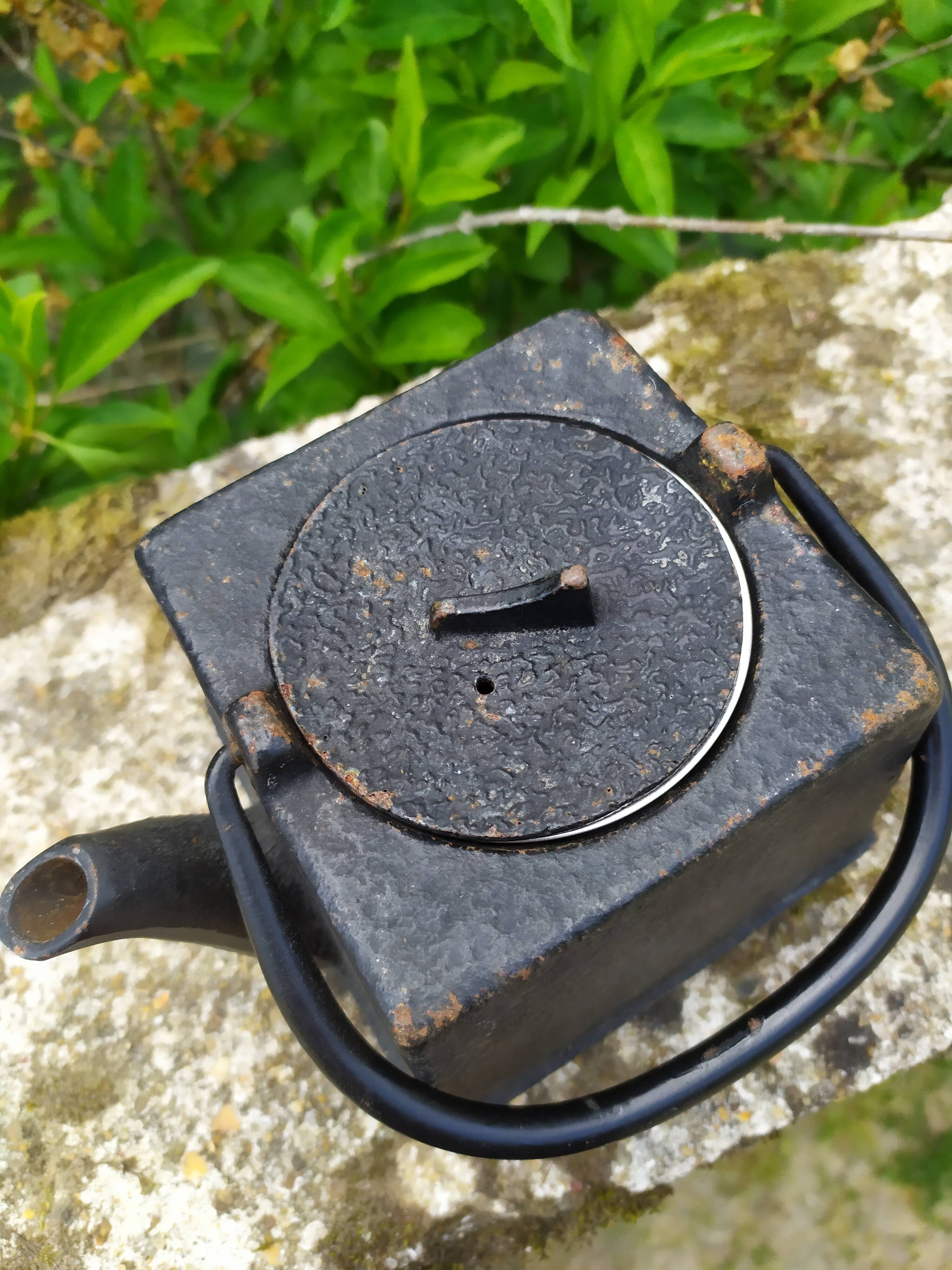 small cast iron teapot