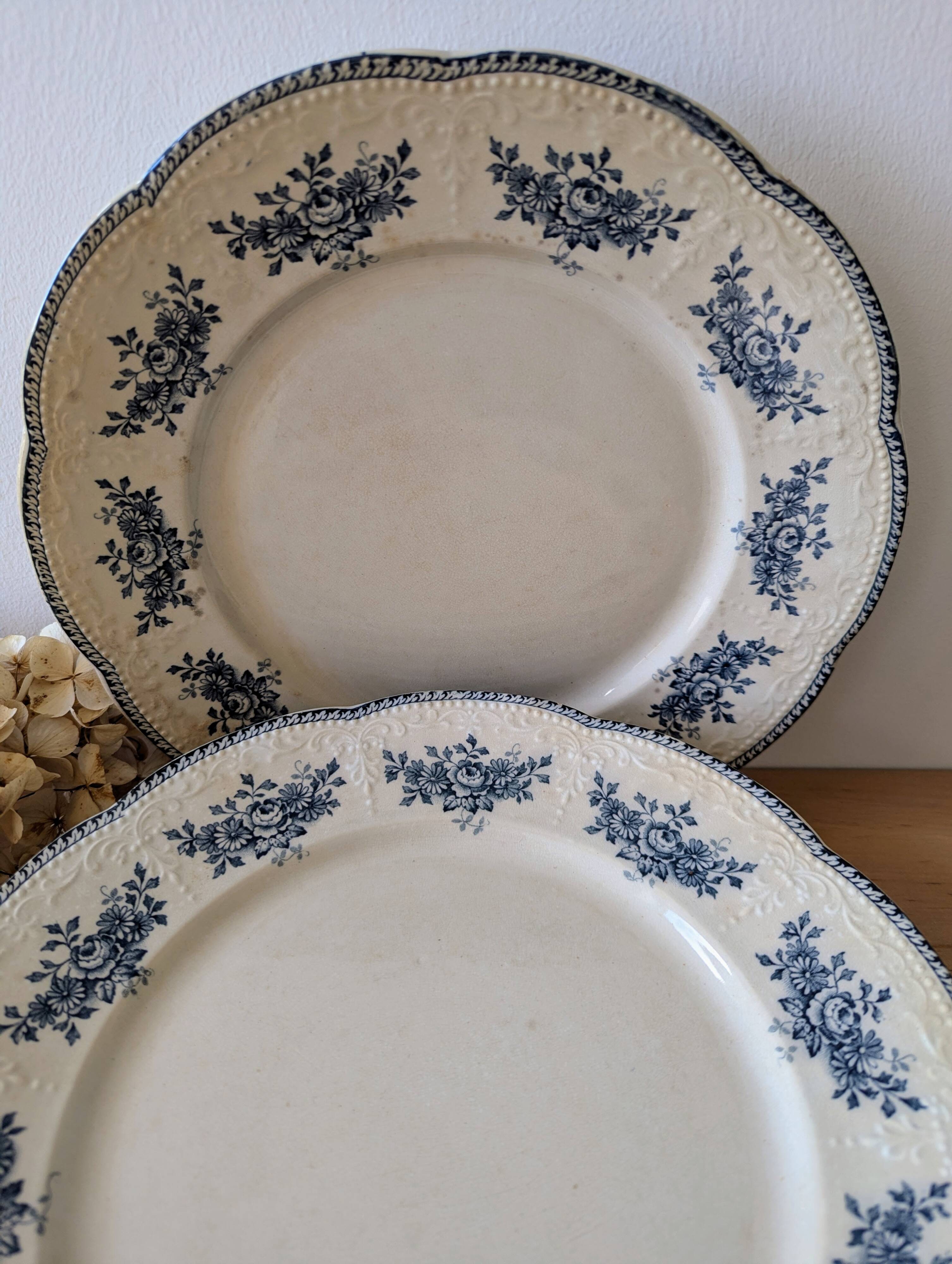 Lot of 10 old Badonviller Richelieu ironstone plates