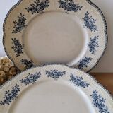 Lot of 10 old Badonviller Richelieu ironstone plates