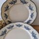 Lot of 10 old Badonviller Richelieu ironstone plates