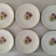 Assiettes Plates Porcelaine Vitriam Décor Fleurs d'Anémones Vintage