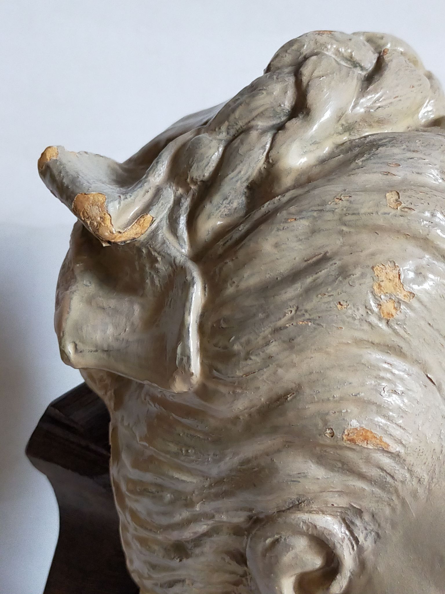 Bust of a woman "the elegant"XIXth in painted plaster signed on its solid wood base
