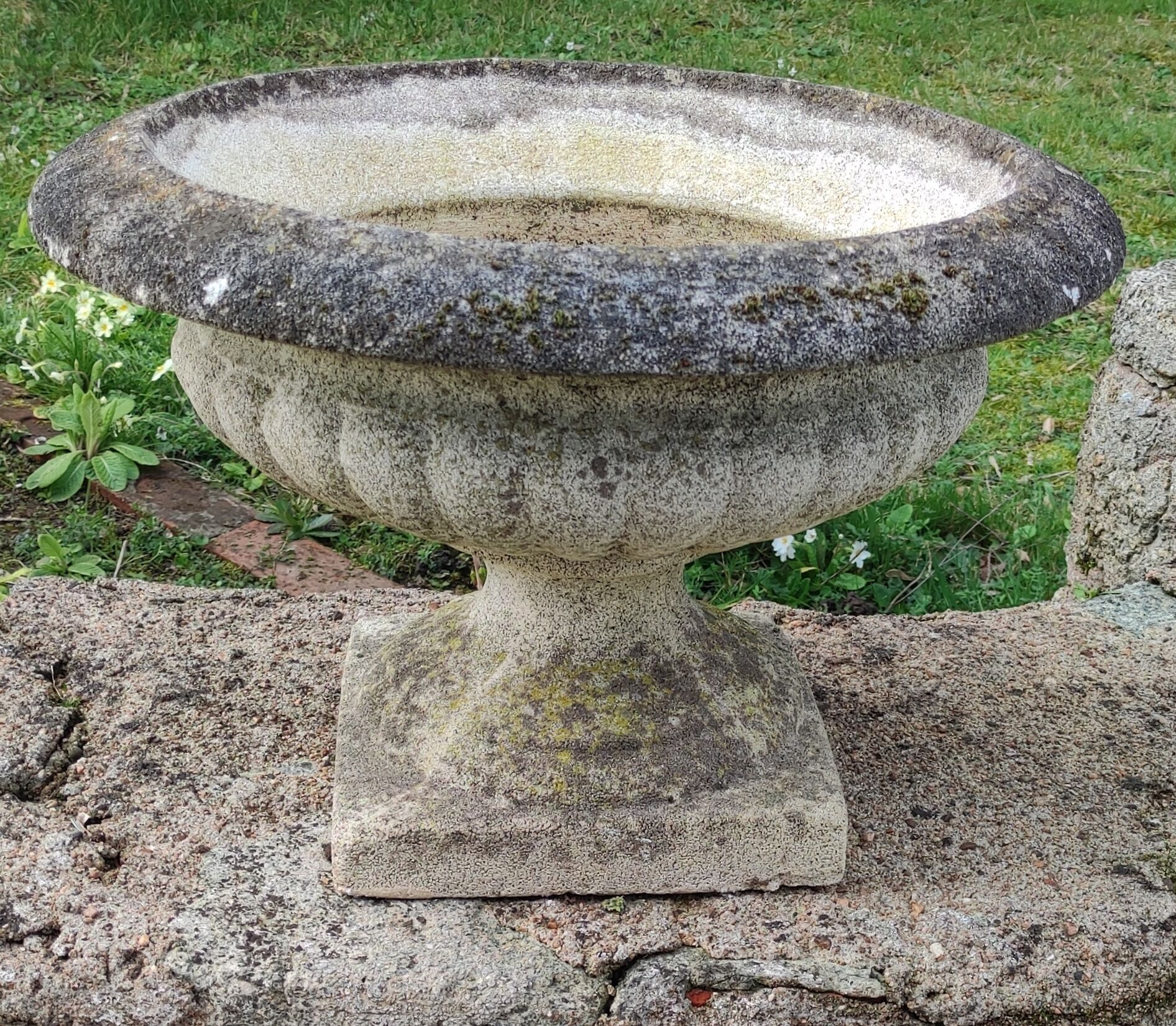 Ancient Medici in reconstituted stone