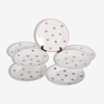 Ceranord dessert plates