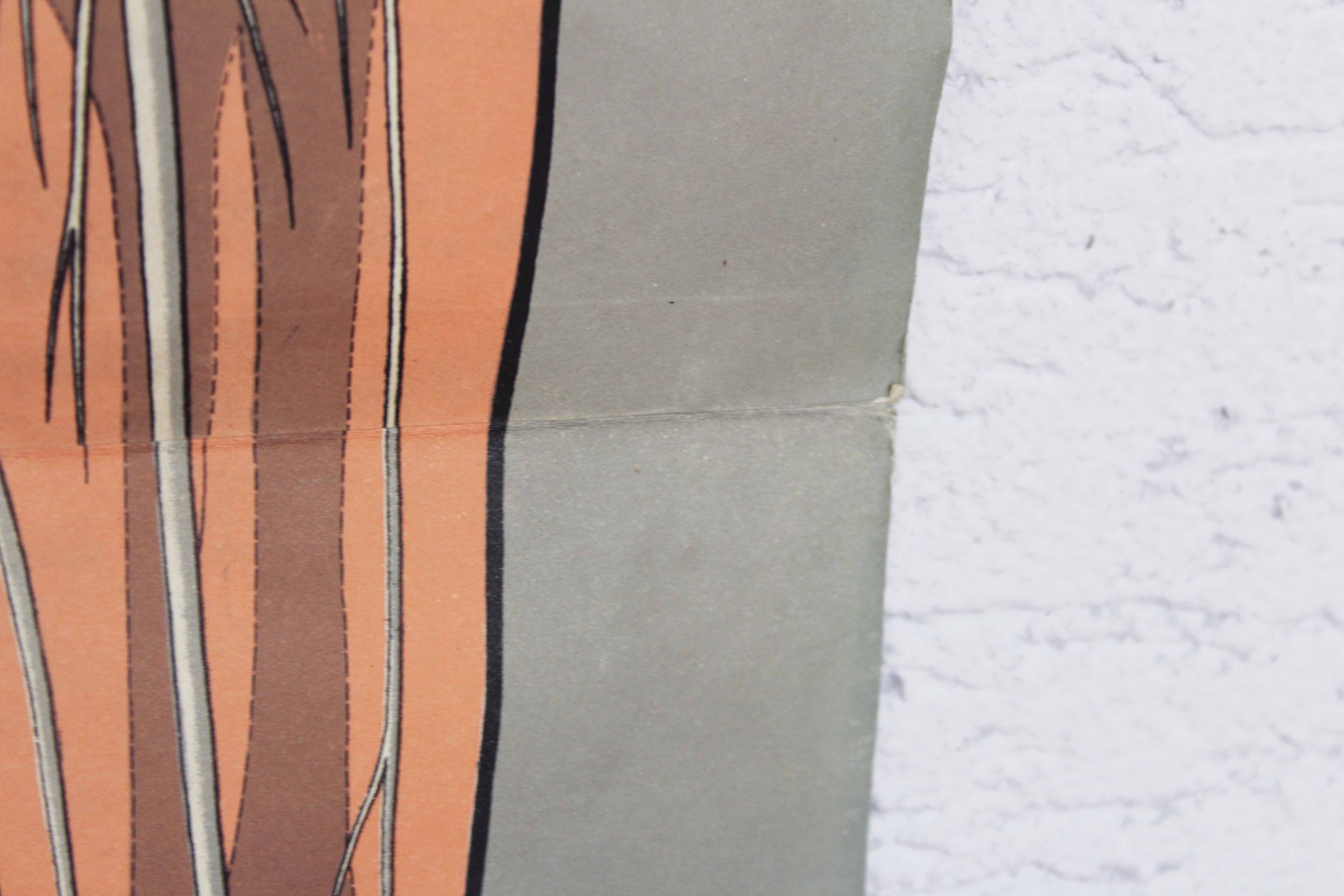 Old anatomy illustration of the nineteenth century