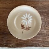 4 plates Autumn stoneware with daisy pattern
