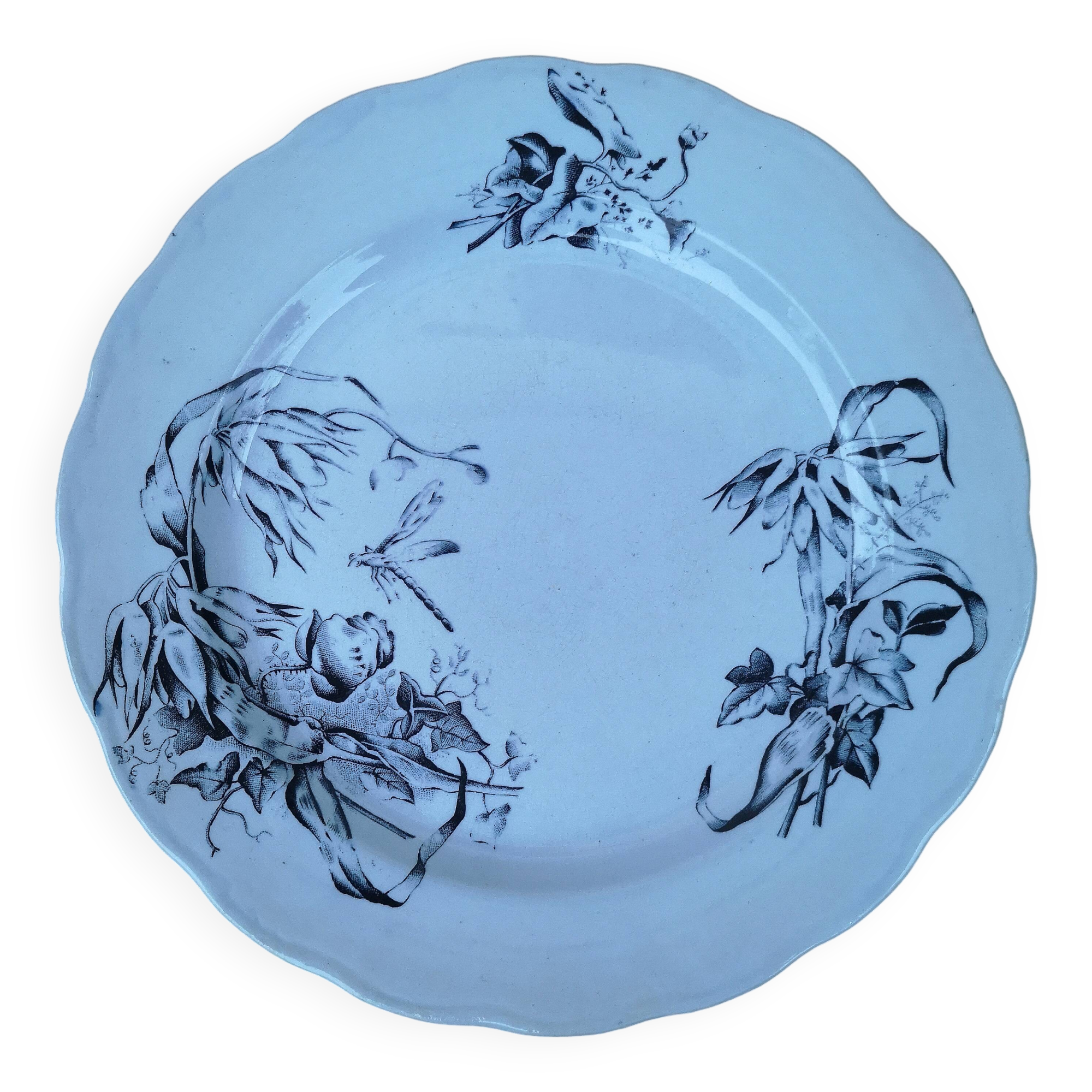 Very rare old ironstone plate