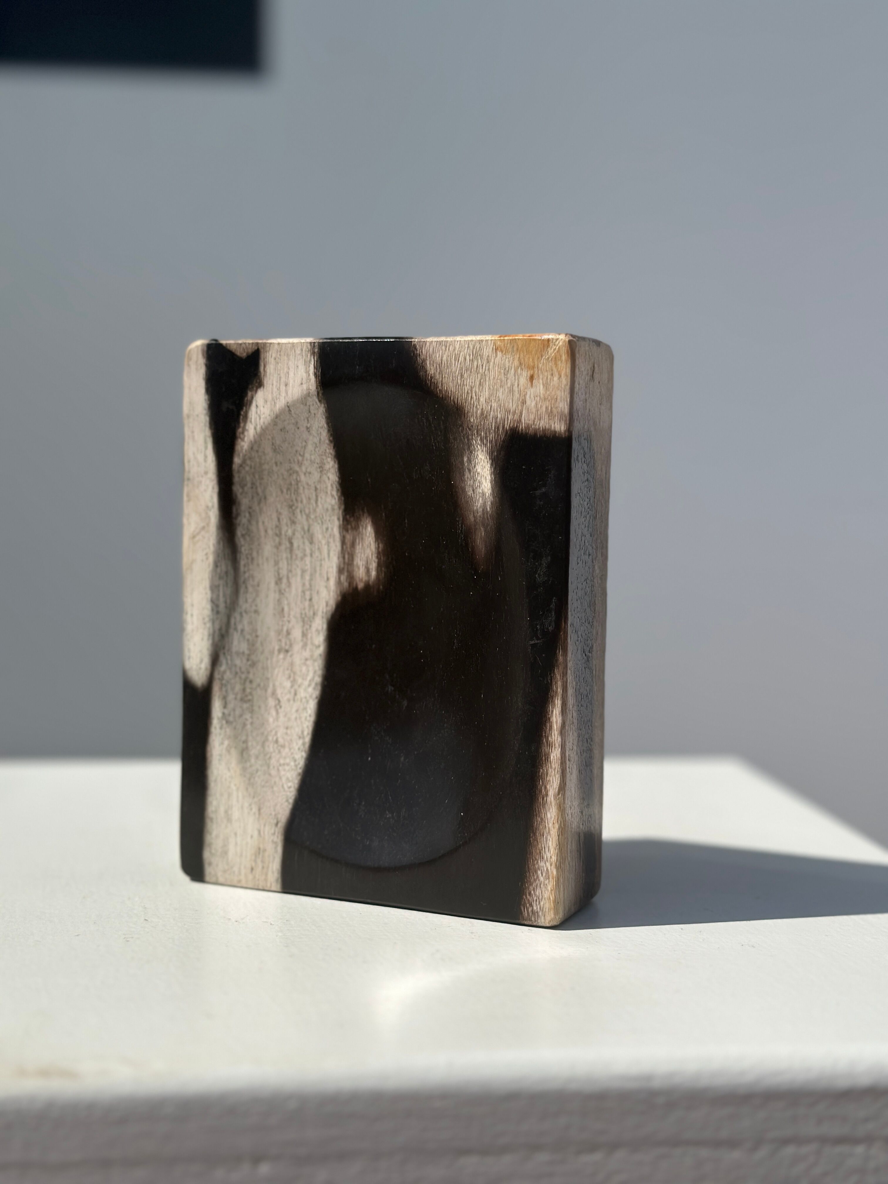Symmetrical multicolored petrified wood soap dish