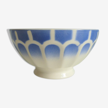 Bowl blue scales