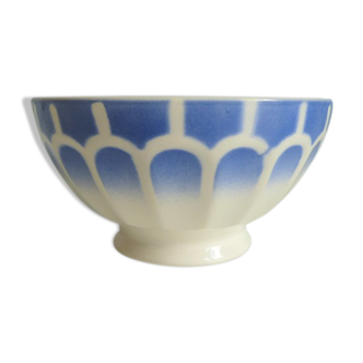 Bowl blue scales