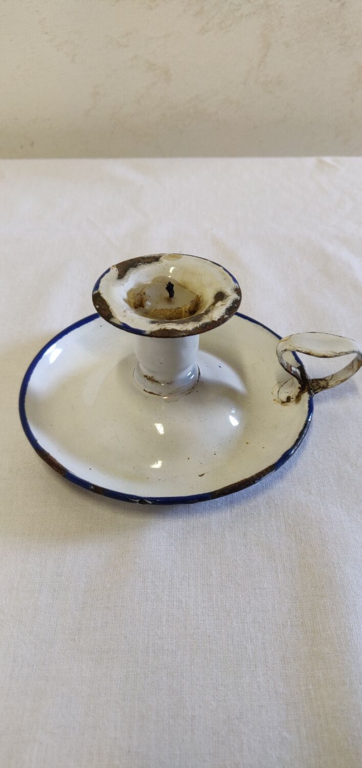 Cellar rat in old enamelled sheet metal