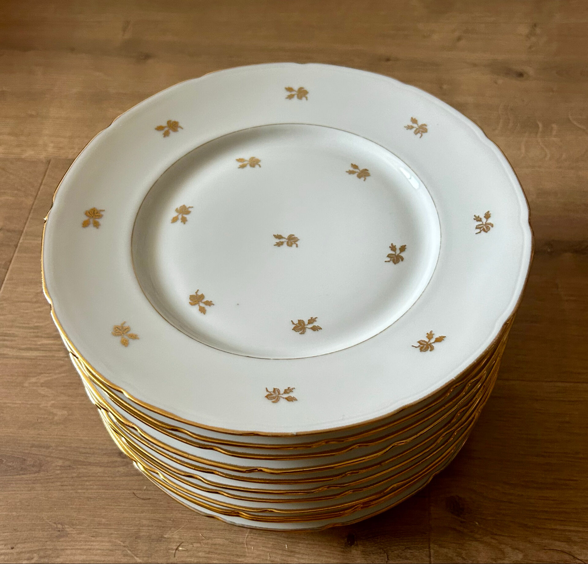 PN Lamotte porcelain plates
