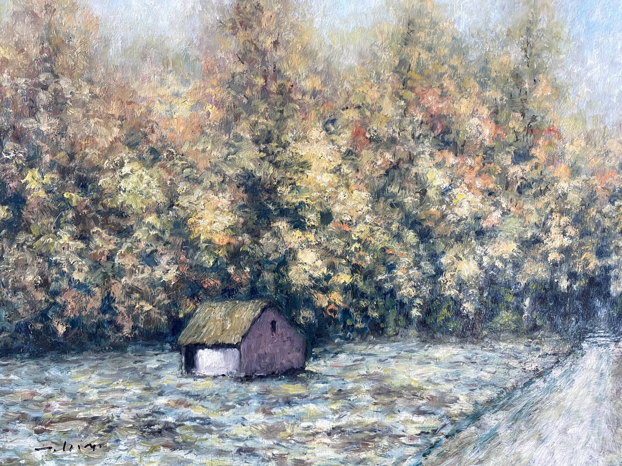 Cabane dans la foret