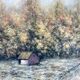 Cabane dans la foret