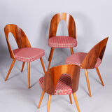 Four restored mid-century chairs, antonin suman, beech, walnut, czechia, 1950s
