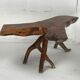Wabia sabi rustic tree branch side table, Dutch 1960s