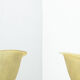 Set of two vintage fiber glass shell chairs