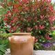 Light brown ceramic jar