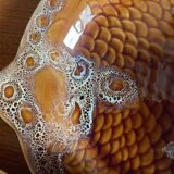 6 fish plates Sarreguemines