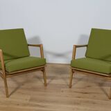 Model 300-139 Armchairs from Swarzędz Factory, 1960s, Set of 2