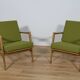 Model 300-139 Armchairs from Swarzędz Factory, 1960s, Set of 2