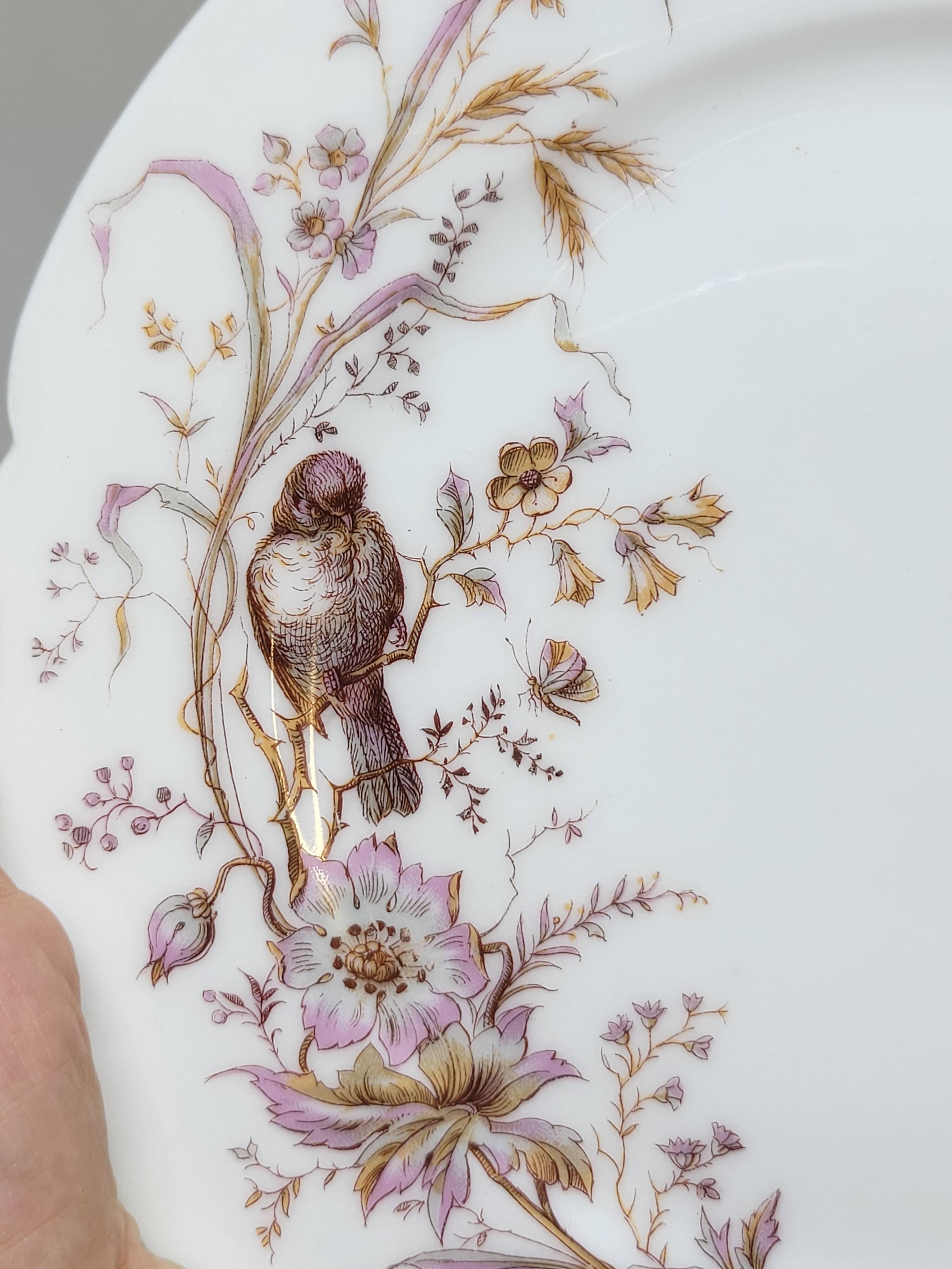 6 Superb Antique 19th Century White Porcelain Plates with Bird Decor