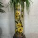 Antique French column – sunflowers