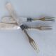 Set of dessert forks