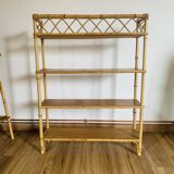 Large rattan shelf