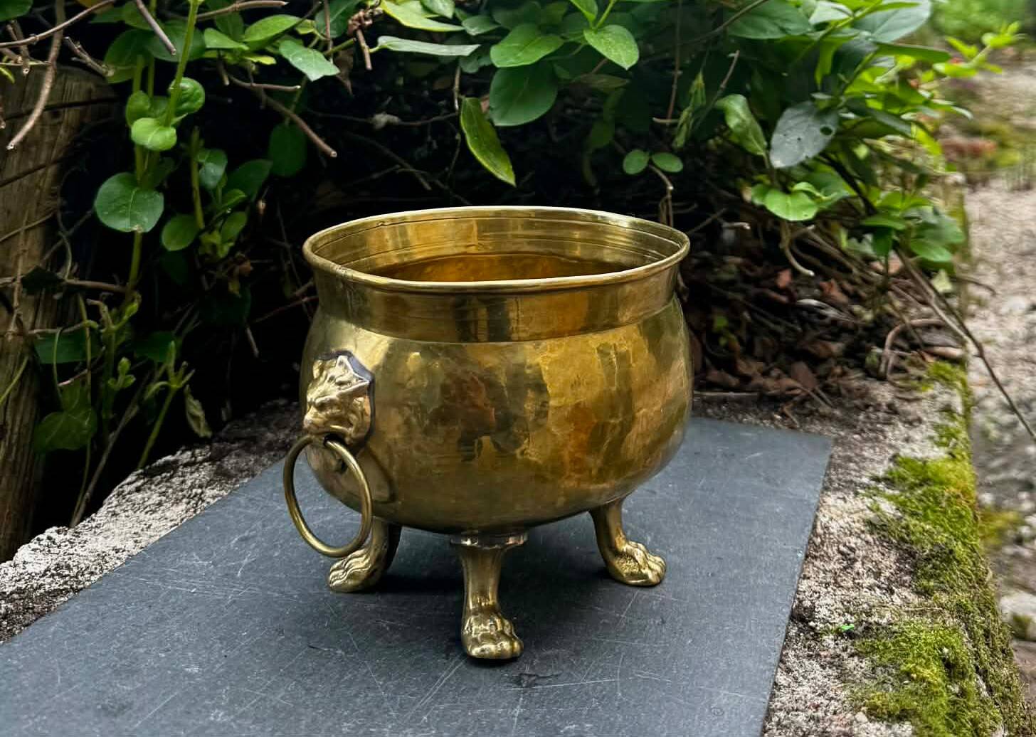 Baroque lion brass jardinière
