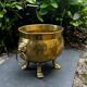 Baroque lion brass jardinière