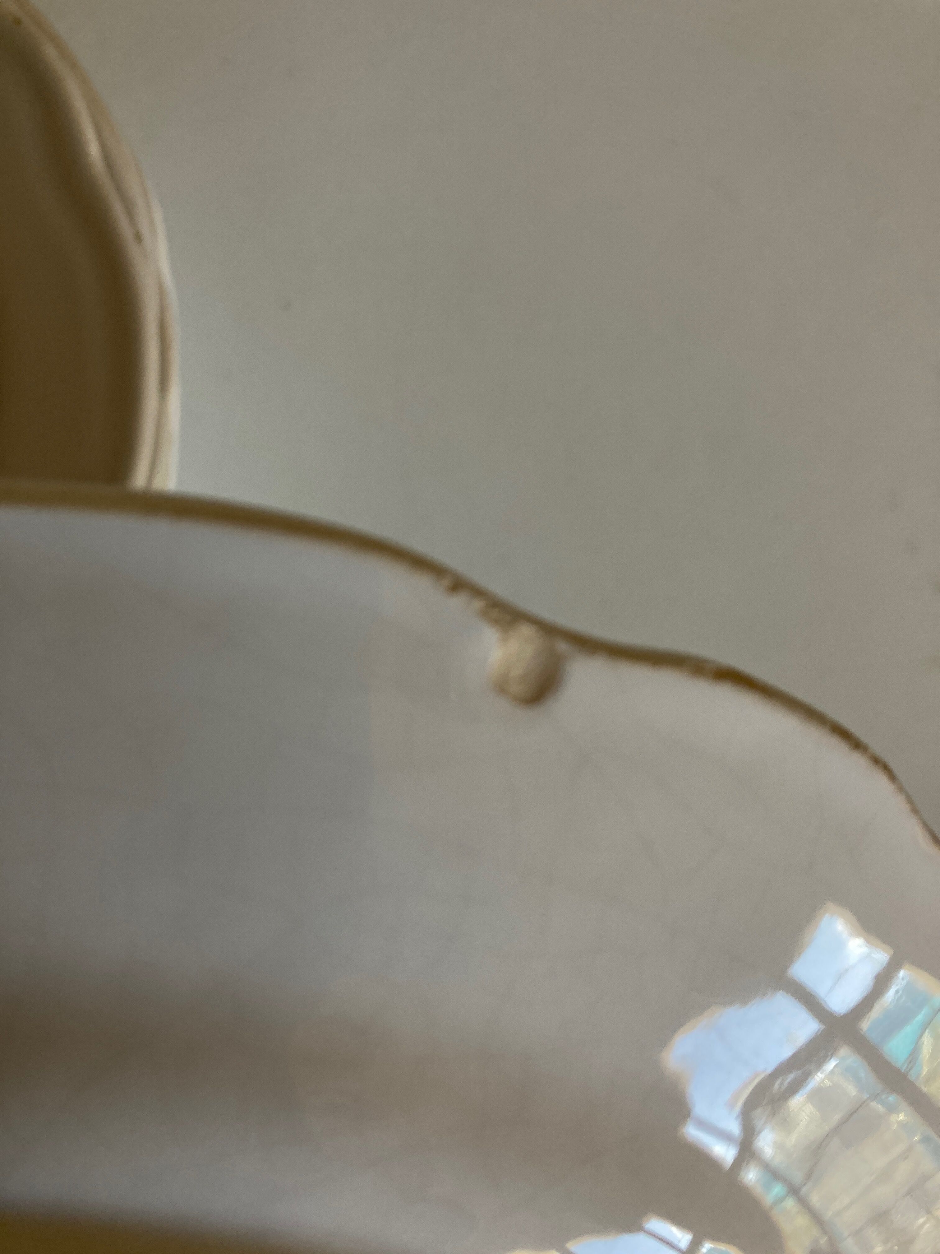 Set of 7 Mougins plates in white enamelled clay with gadroons