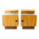 Ensemble de deux tables de chevet en bois et verre, Tchécoslovaquie 1950