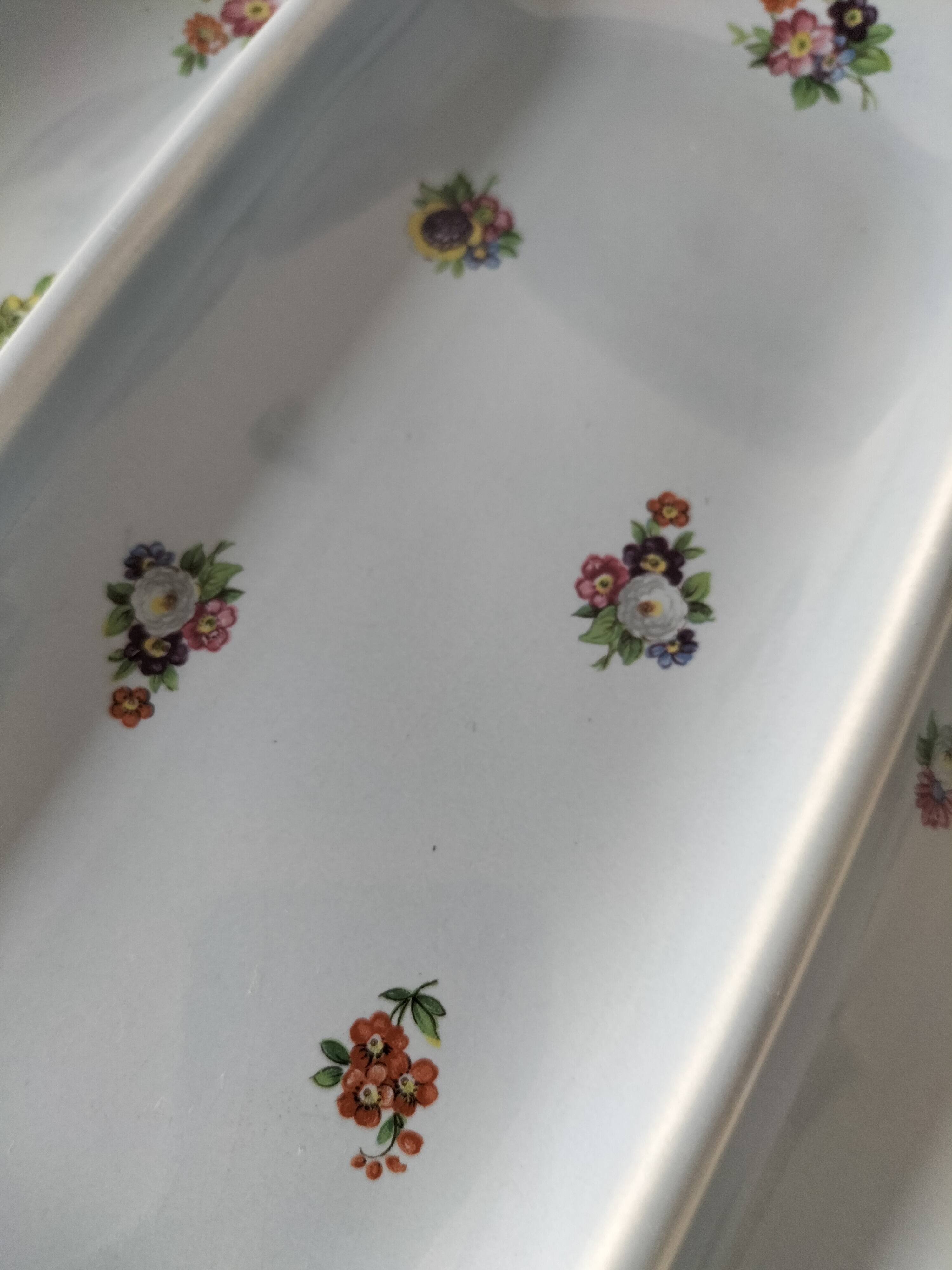 7 compartmentalized plates, Salins, France