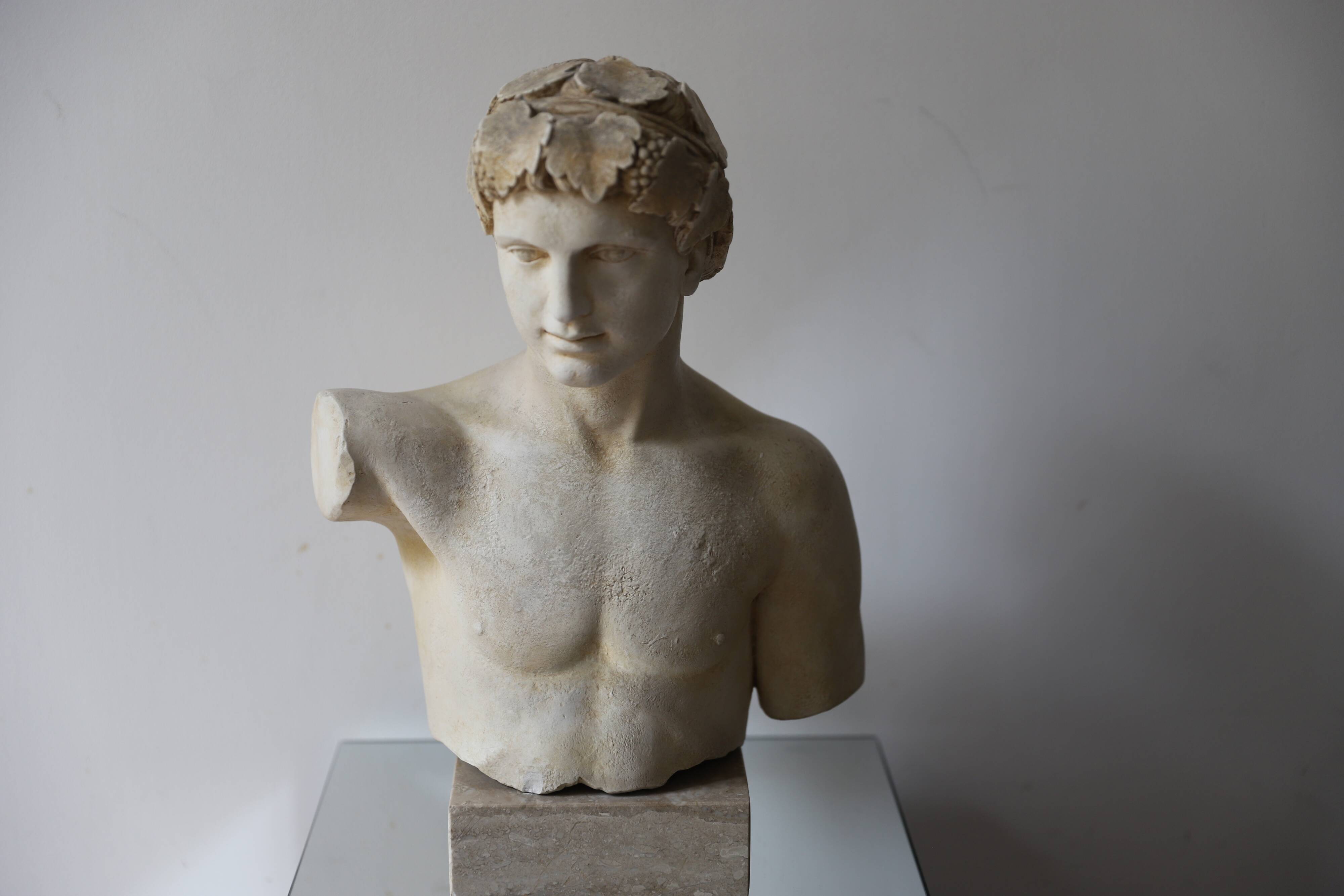 Plaster bust of Apollo