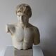 Plaster bust of Apollo