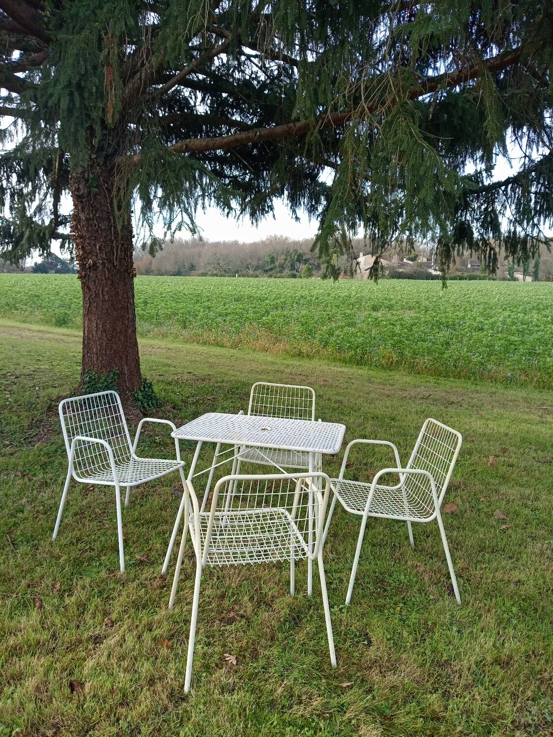 Ému Rio chairs and table