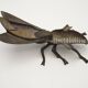 Brass Art Deco fly with movable wings Collection 4288