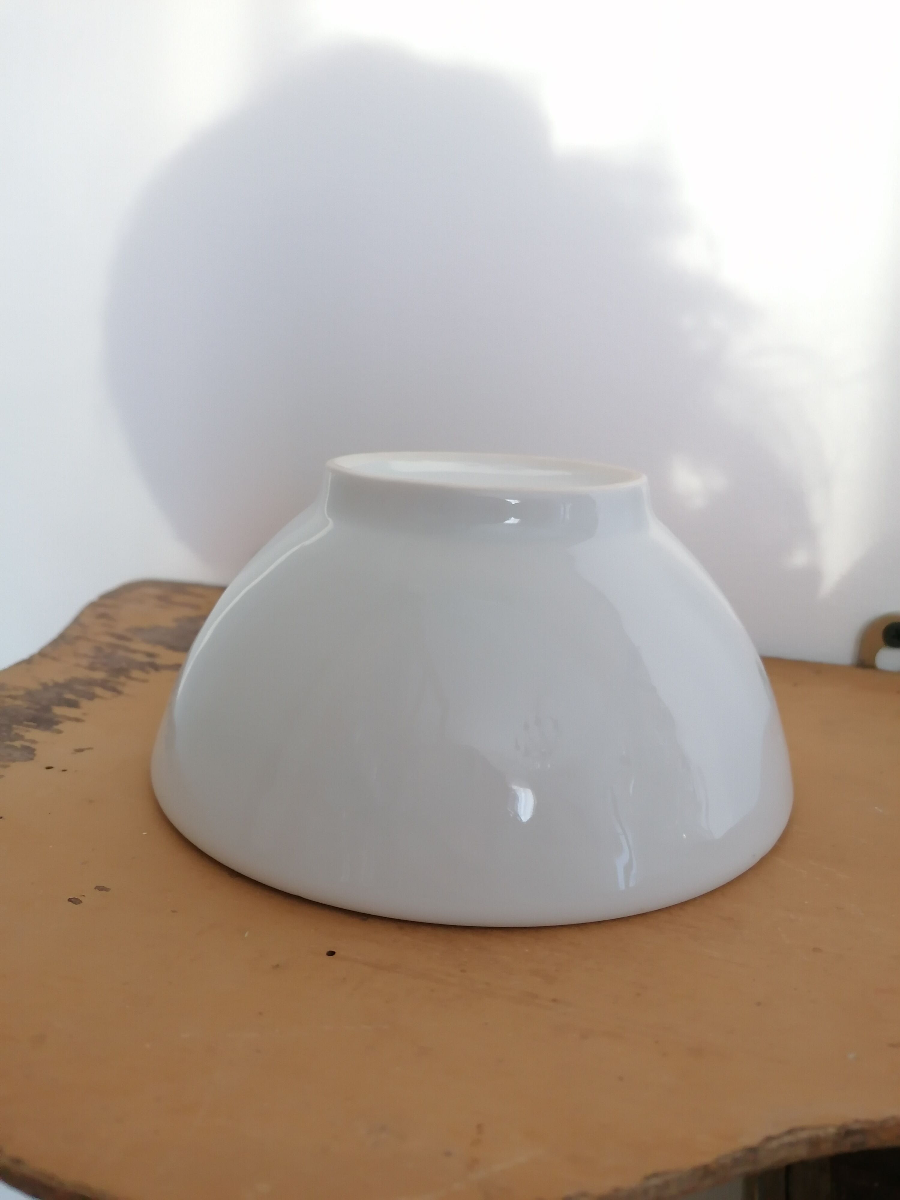 Fire porcelain bowl Aluminite Frugier