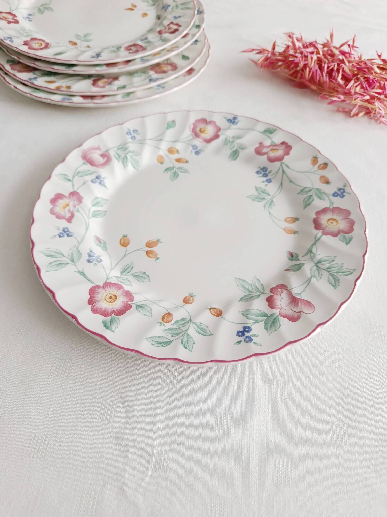Set of 5 flat plates Churchill, Briar Rose