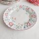 Set of 5 flat plates Churchill, Briar Rose