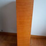 Mid-century library 1960