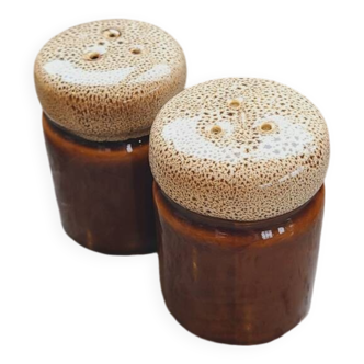 Brown ceramic salt and pepper shakers